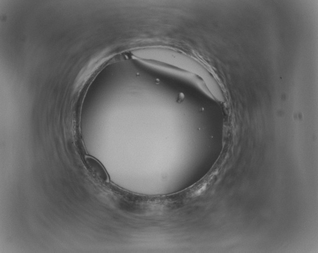 X0000071900103200607281813