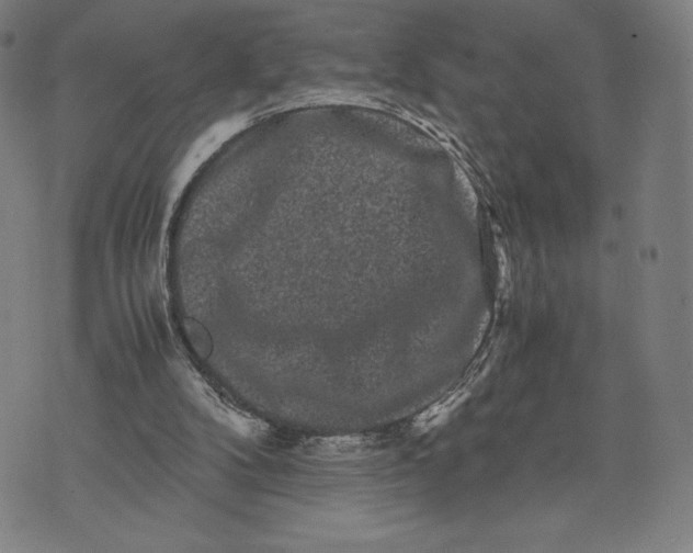 X0000071900104200607281813