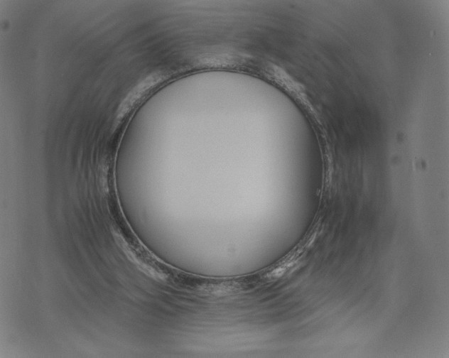 X0000071900106200607281813