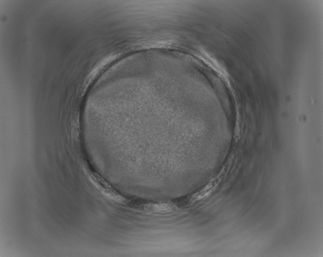 X0000071900107200607281813