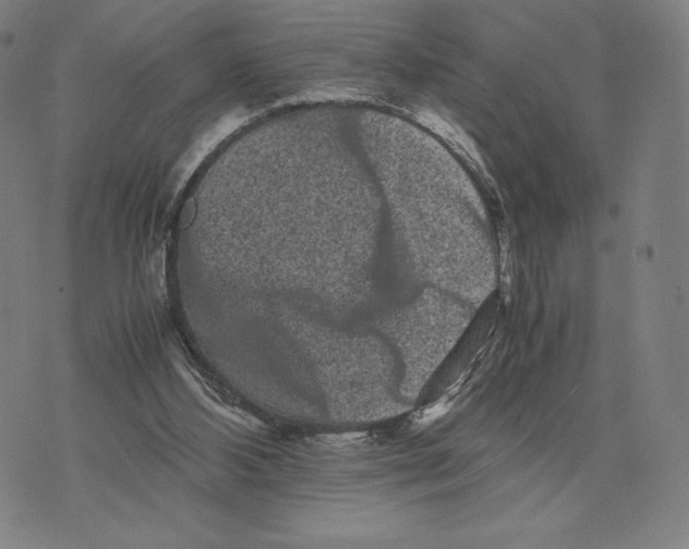 X0000071900108200607281813