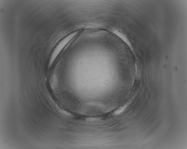 X0000071900109200607281813