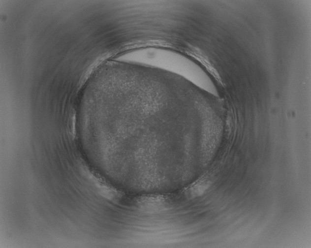 X0000071900110200607281813