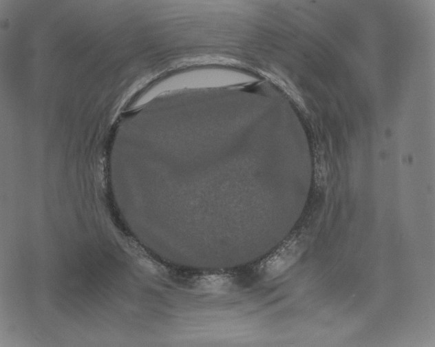 X0000071900111200607281813