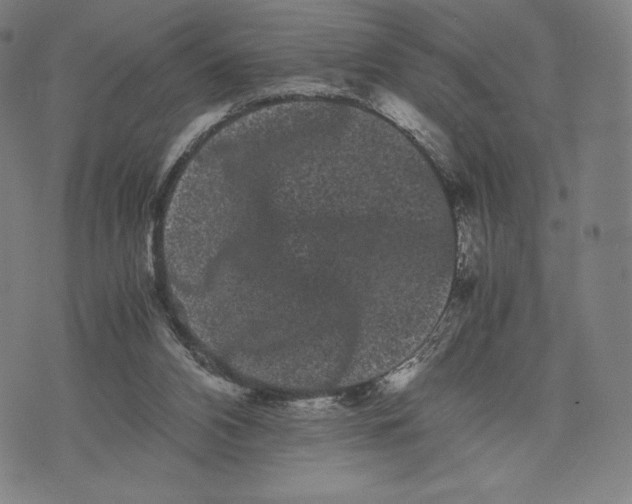 X0000071900112200607281813