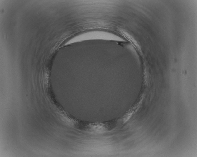 X0000071900113200607281813