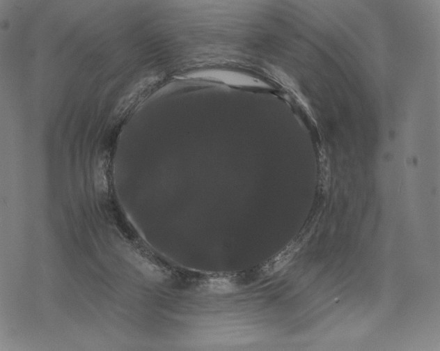 X0000071900114200607281813