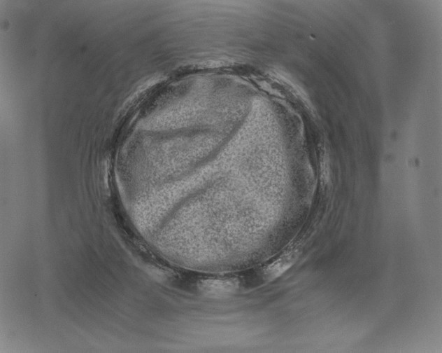 X0000071900115200607281813