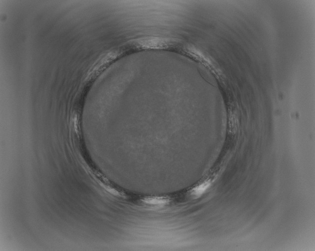 X0000071900117200607281813