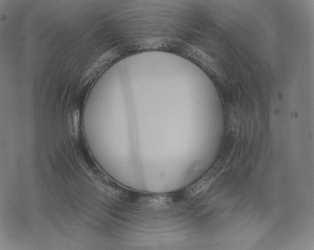 X0000071900118200607281813