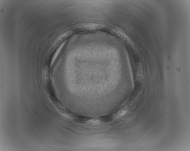 X0000071900119200607281813