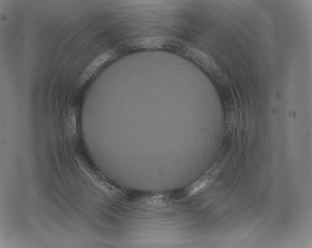 X0000071900120200607281813