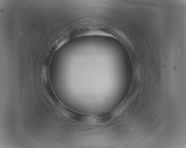 X0000071900121200607281813