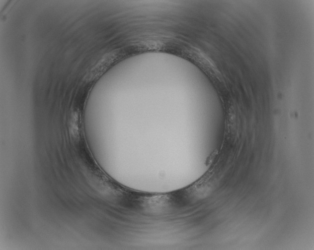 X0000071900122200607281813