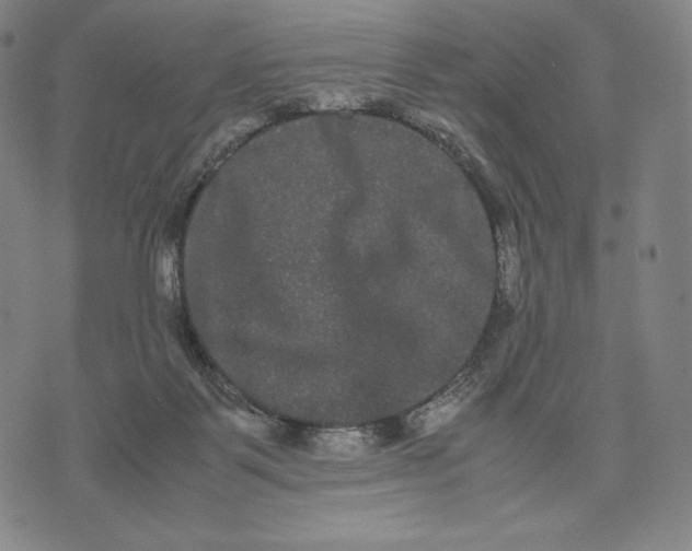 X0000071900123200607281813