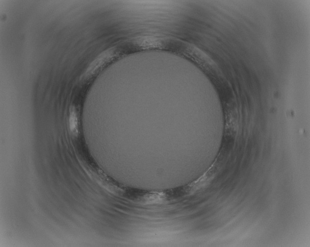 X0000071900124200607281813