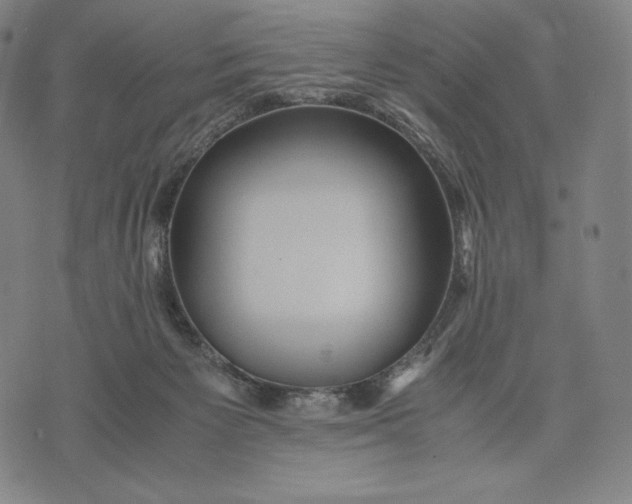 X0000071900125200607281813