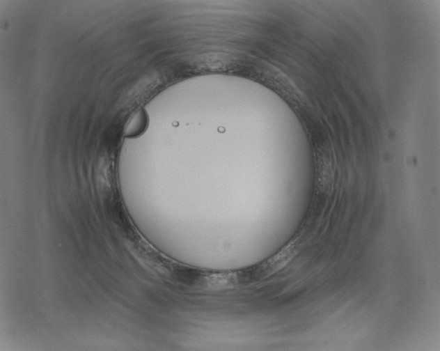 X0000071900126200607281813