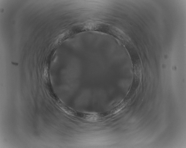 X0000071900127200607281813