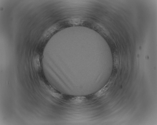 X0000071900128200607281813