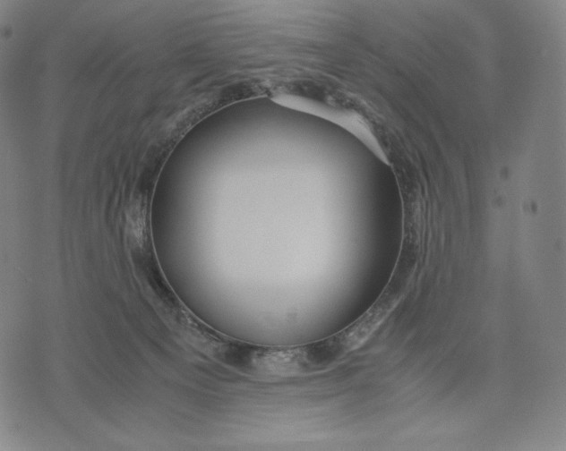 X0000071900129200607281813