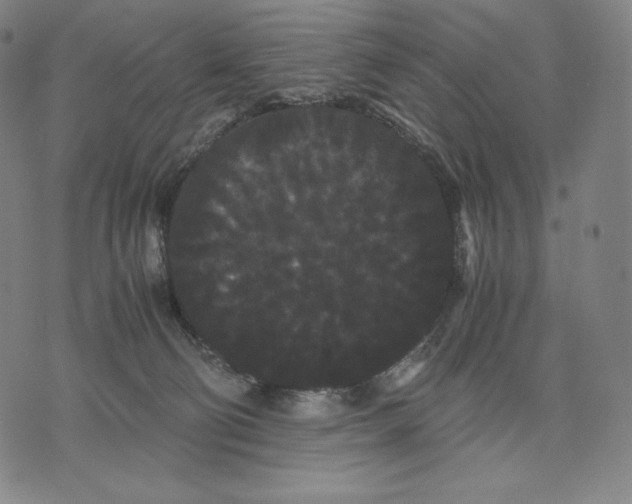 X0000071900130200607281813