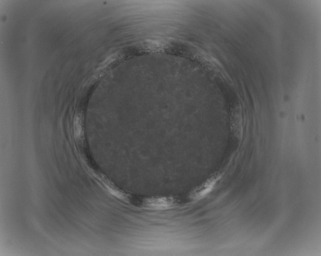 X0000071900131200607281813