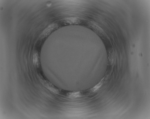 X0000071900132200607281813