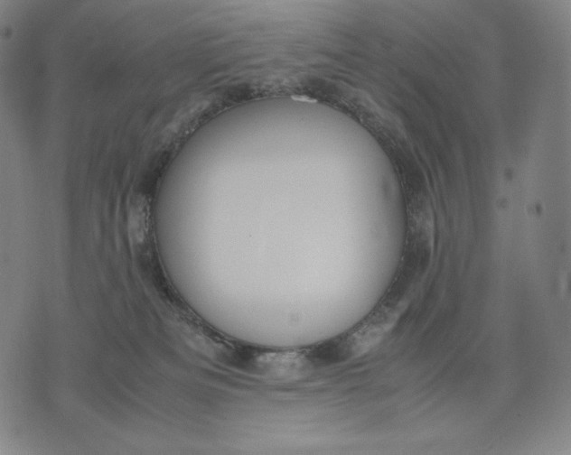 X0000071900133200607281813