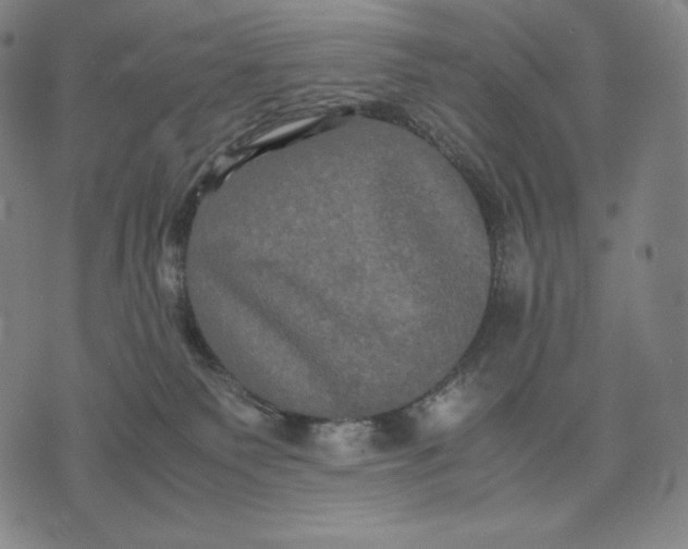 X0000071900135200607281813