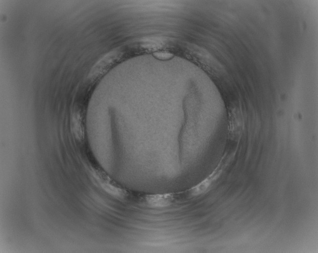 X0000071900136200607281813