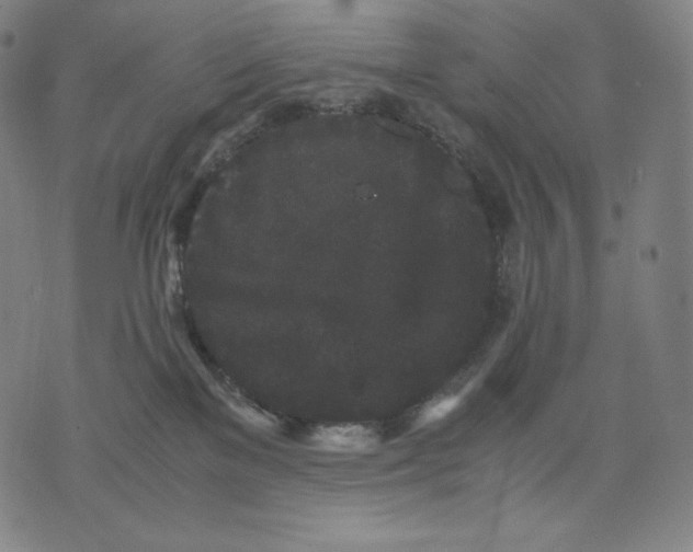 X0000071900137200607281813