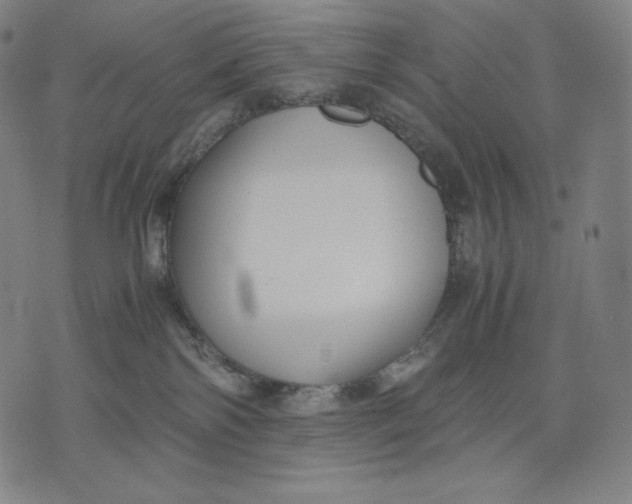 X0000071900138200607281813