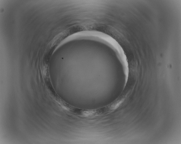 X0000071900139200607281813