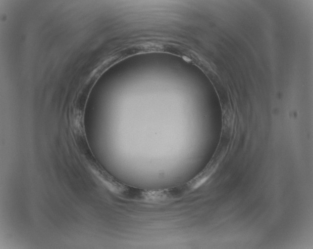 X0000071900141200607281813