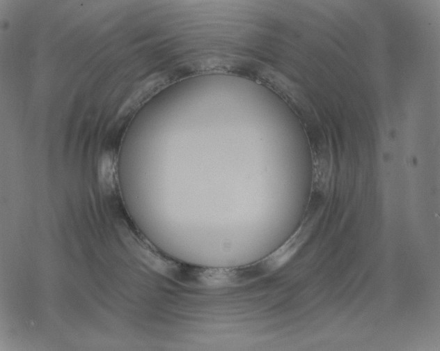 X0000071900142200607281813