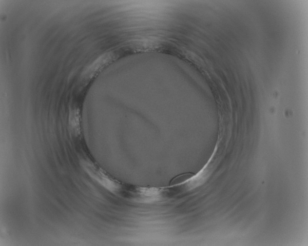 X0000071900144200607281813