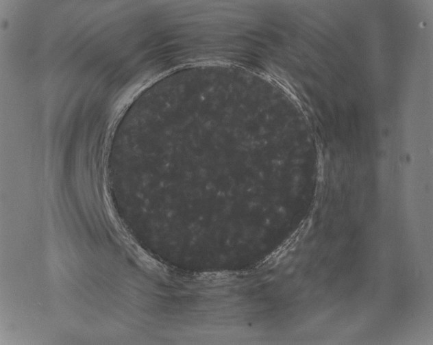 X0000071900145200607281812