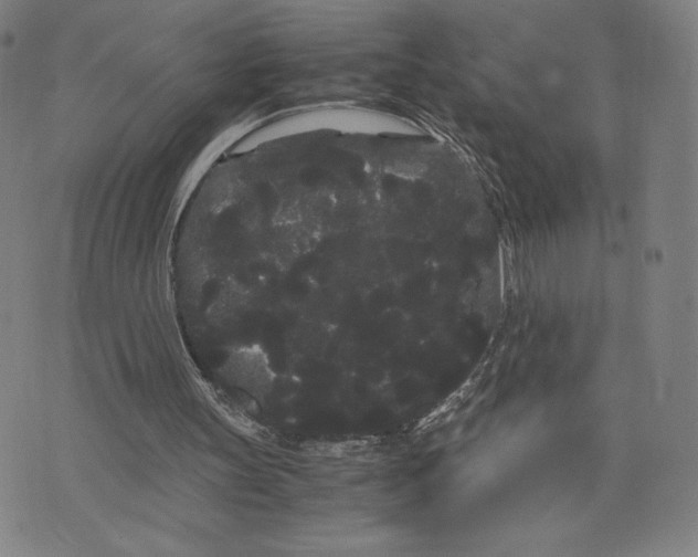 X0000071900147200607281812