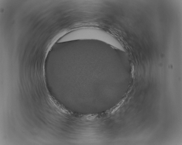 X0000071900148200607281812