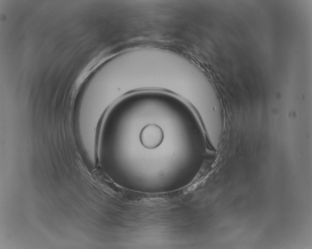 X0000071900150200607281812