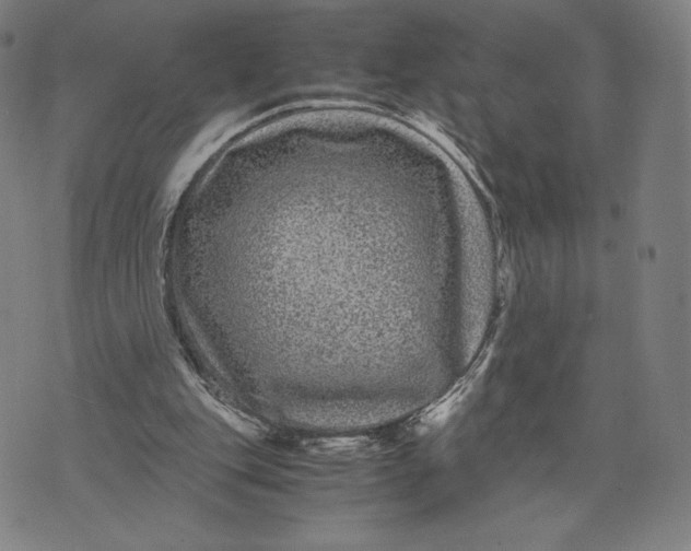 X0000071900151200607281812