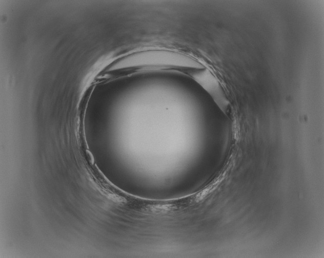 X0000071900152200607281812