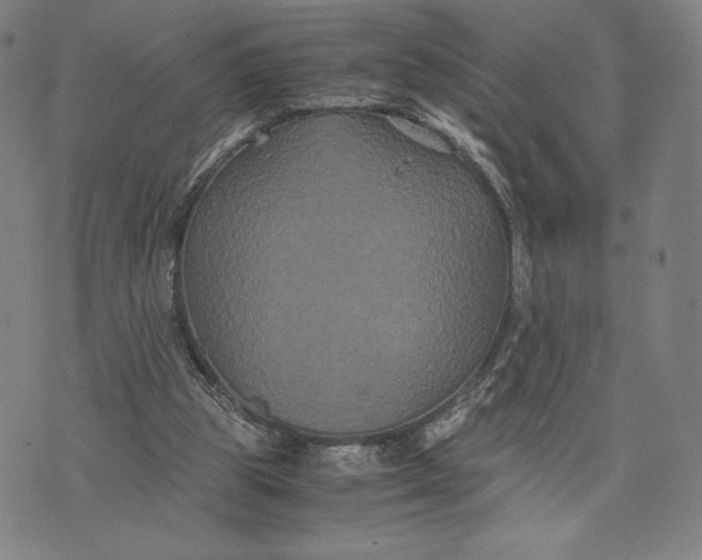 X0000071900153200607281812