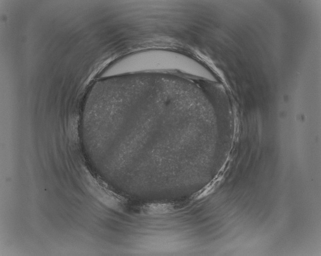 X0000071900154200607281812