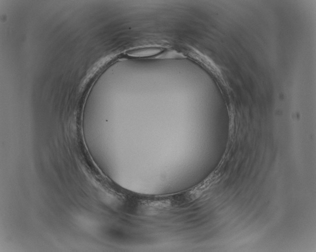 X0000071900155200607281812