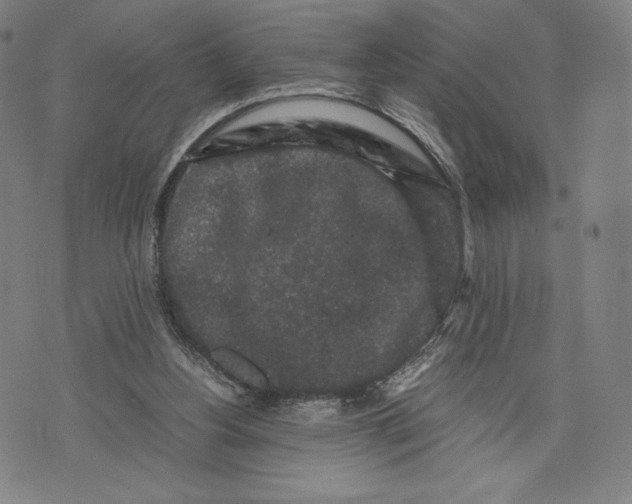 X0000071900156200607281812