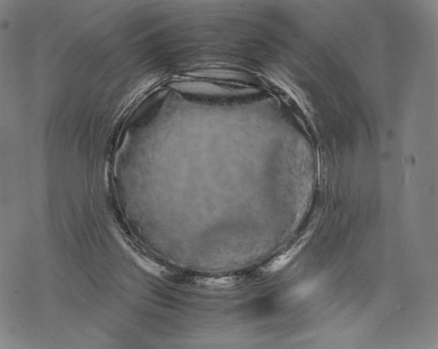 X0000071900157200607281812