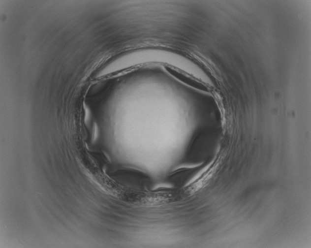 X0000071900158200607281812