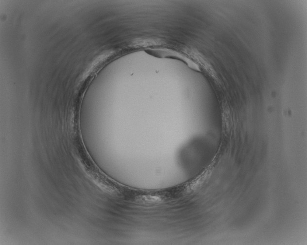 X0000071900159200607281812